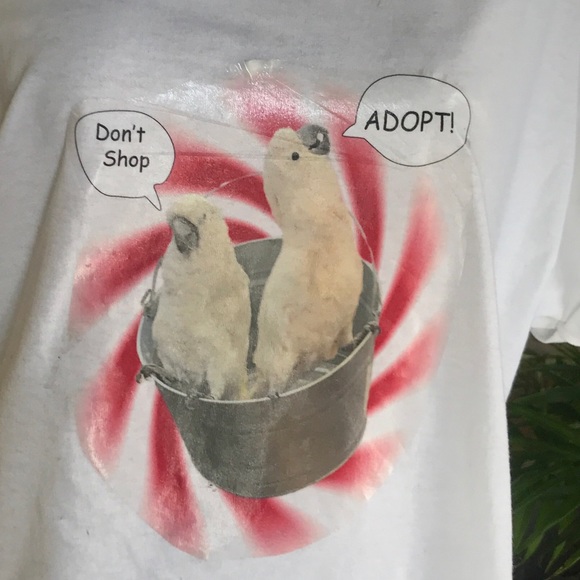 Meet your Posher, Juli - Picture 4 of 8